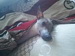     
: IMG_20140416_114307.jpg
: 31
:	208.8 
ID:	8222388