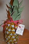     
: DSC_0242.jpg
: 9
:	107.4 
ID:	8223110