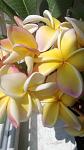    
: WP_20140529_002.jpg
: 8
:	57.6 
ID:	8223188