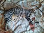     
: IMG_20140530_160559.jpg
: 8
:	159.8 
ID:	8227033
