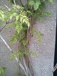     
: 053014192141.jpg
: 4
:	138.5 
ID:	8229168