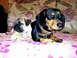     
: IMG_20140531_074531.jpg
: 130
:	195.3 
ID:	8229377