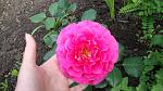     
: DSC05117.JPG
: 3
:	209.4 
ID:	8229821