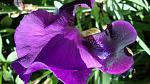     
: DSC04999.JPG
: 2
:	200.5 
ID:	8229877