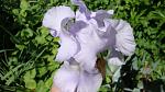     
: DSC04983.JPG
: 3
:	201.5 
ID:	8229881