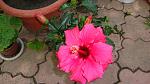     
: DSC05110.JPG
: 10
:	194.8 
ID:	8230008