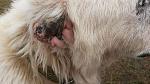     
: 20140531_134749.jpg
: 9
:	155.8 
ID:	8231044