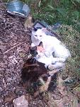     
: 9vBCK4nU3qg.jpg
: 9
:	293.5 
ID:	8231362