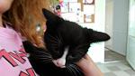     
: 20140531_141606.jpg
: 2
:	67.2 
ID:	8231590
