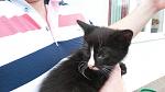     
: 20140531_141412.jpg
: 4
:	85.0 
ID:	8231591