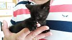     
: 20140531_141811.jpg
: 5
:	71.9 
ID:	8231594