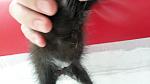     
: 20140531_142226_3.jpg
: 4
:	65.4 
ID:	8231596