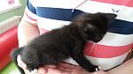     
: 20140531_141302.jpg
: 3
:	77.5 
ID:	8231603