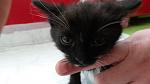     
: 20140531_142322_5.jpg
: 3
:	59.3 
ID:	8231604