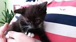     
: 20140531_142411_13.jpg
: 5
:	61.2 
ID:	8231607
