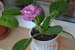     
: DSC_4925.jpg
: 10
:	87.9 
ID:	8232173