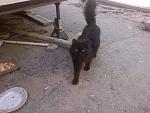     
: D1PQKq-7UuM.jpg
: 7
:	237.4 
ID:	8232671