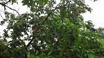    
: 20140601_093937.jpg
: 40
:	214.1 
ID:	8233406