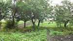     
: 20140601_094014.jpg
: 31
:	282.7 
ID:	8233421