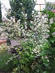     
: Фото0488.jpg
: 6
:	174.4 
ID:	8234171