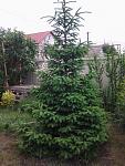     
: Фото0498.jpg
: 4
:	132.6 
ID:	8234174