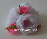     
: DSC02520.jpg
: 20
:	61.1 
ID:	8234599