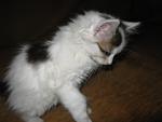     
: IMG_3533.jpg
: 3
:	51.7 
ID:	8236428