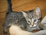     
: IMG_3526.jpg
: 4
:	170.0 
ID:	8236429