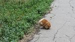     
: IMG_2227.jpg
: 85
:	209.3 
ID:	8239596