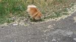     
: IMG_2225.jpg
: 41
:	209.8 
ID:	8239599