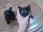     
: gvrNBMyGyAg.jpg
: 37
:	225.6 
ID:	8239644