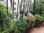     
: DSC00164.jpg
: 22
:	293.8 
ID:	8240116