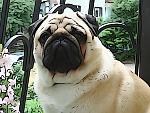    
: DSC00166.jpg
: 22
:	162.0 
ID:	8240117