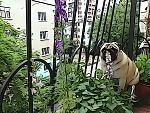     
: DSC00163.jpg
: 19
:	289.1 
ID:	8240118