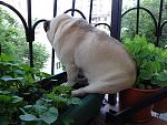     
: DSC00170.jpg
: 20
:	171.0 
ID:	8240124