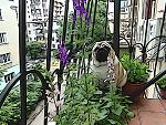     
: DSC00168.jpg
: 19
:	290.4 
ID:	8240126