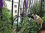     
: DSC00167.jpg
: 18
:	294.7 
ID:	8240127