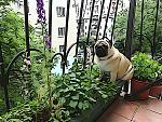     
: DSC00165.jpg
: 17
:	285.4 
ID:	8240129