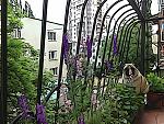     
: DSC00162.jpg
: 20
:	283.9 
ID:	8240130
