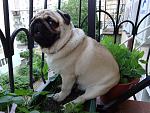     
: DSC00171.jpg
: 18
:	165.5 
ID:	8240137