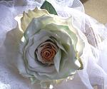     
: PICT0075.jpg
: 37
:	101.4 
ID:	8245287