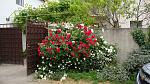     
: DSC05125.JPG
: 7
:	242.5 
ID:	8246046