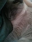     
: 2014-05-03 15.37.57.jpg
: 10
:	87.8 
ID:	8247733