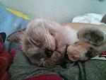     
: 2014-05-16 17.00.57.jpg
: 9
:	137.7 
ID:	8247734