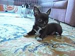     
: nFe6tQtdnL4.jpg
: 5
:	70.5 
ID:	8248228