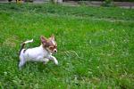     
: HbMpBZ1LCKI.jpg
: 3
:	58.5 
ID:	8248230