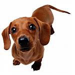     
: 11.jpg
: 13
:	47.1 
ID:	8250050