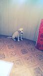     
: IMAG1349.jpg
: 20
:	54.3 
ID:	8252136