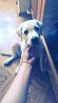     
: IMAG1299.jpg
: 18
:	65.5 
ID:	8252141