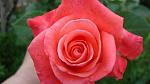     
: DSC05159.JPG
: 4
:	155.6 
ID:	8252426